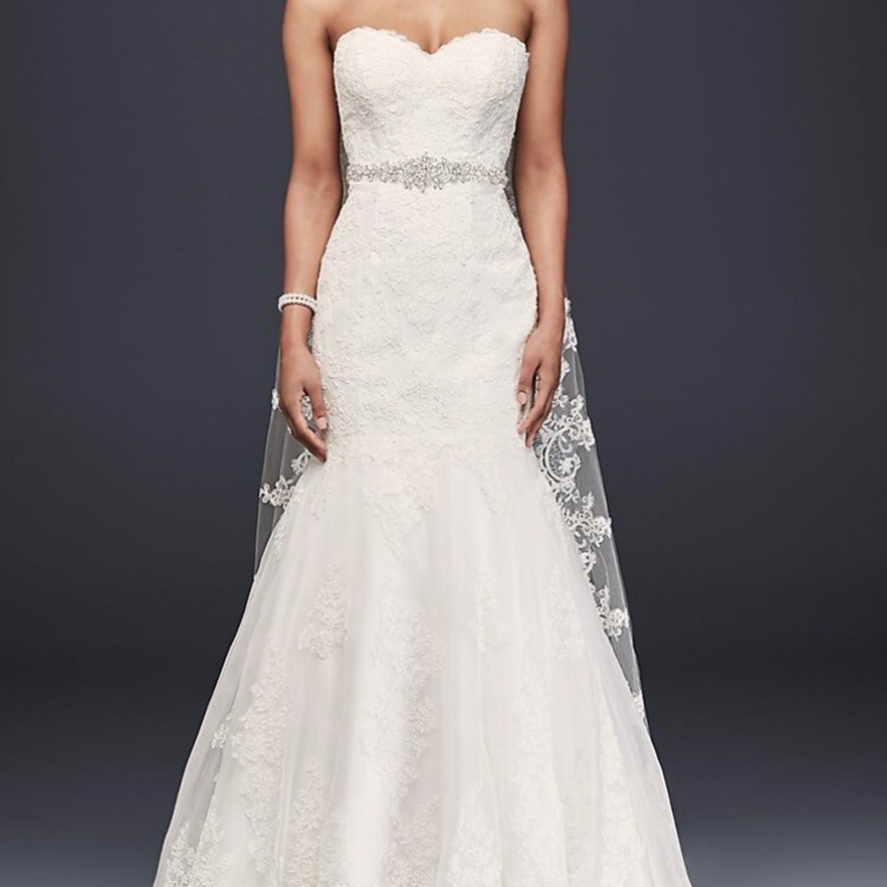 Davids Bridal wedding gown